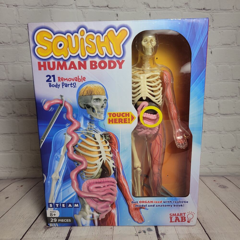 Squishy Human Body SmartLab Science Experiment 29pcs Homeschool Teaching Learn